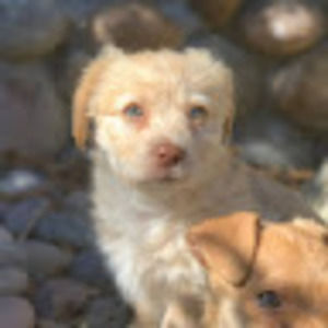 Meet your Posher, Zahira